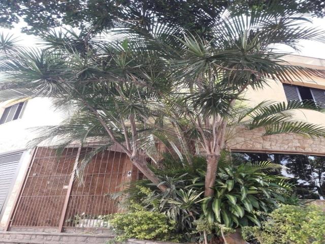 Venda em São José - São Caetano do Sul