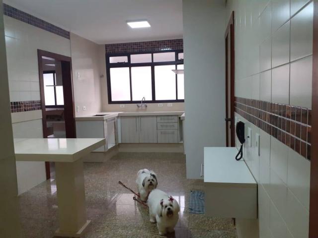 #4146 - Apartamento para Venda em São Caetano do Sul - SP - 2
